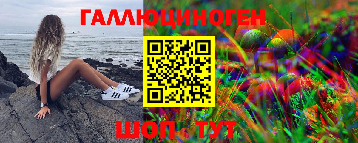 Галлюциногенные грибы Psilocybe Холмск